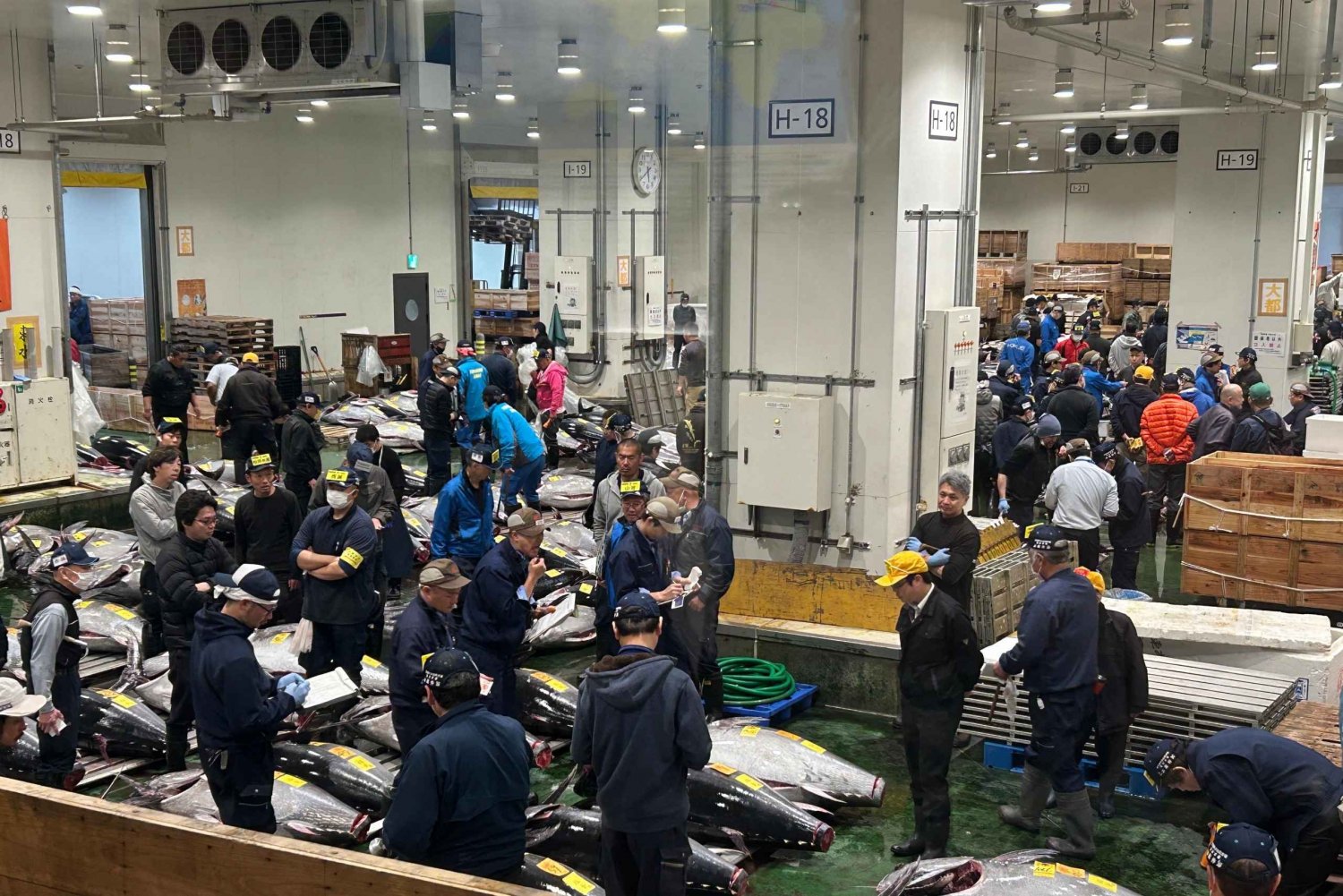 Tokyo : Aventure au marché de Toyosu et Tsukiji avec vente aux enchères de thon
