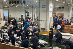Private Toyosu & Tsukiji Market Adventure with Tuna Auction
