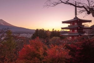 Excursão de 1 dia ao Monte Fuji: a excursão fotográfica mais badalada