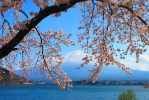 Excursão de 1 dia ao Monte Fuji: a excursão fotográfica mais badalada