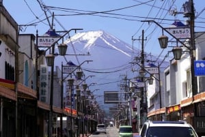 Excursão de 1 dia ao Monte Fuji: a excursão fotográfica mais badalada