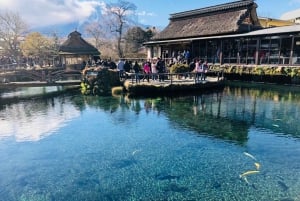 Excursão de 1 dia ao Monte Fuji: a excursão fotográfica mais badalada