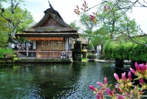 Excursão de 1 dia ao Monte Fuji: a excursão fotográfica mais badalada