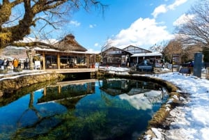 Excursão de 1 dia ao Monte Fuji: a excursão fotográfica mais badalada