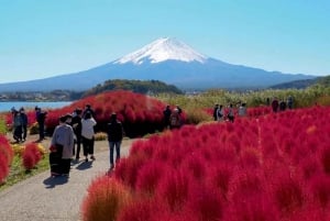 Excursão de 1 dia ao Monte Fuji: a excursão fotográfica mais badalada