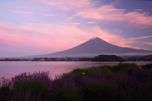 Excursão de 1 dia ao Monte Fuji: a excursão fotográfica mais badalada