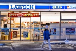 Excursão de 1 dia ao Monte Fuji: a excursão fotográfica mais badalada