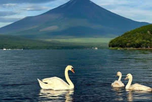 Mount Fuji 5th Station & Fuji Five Lakes Private Day Trip