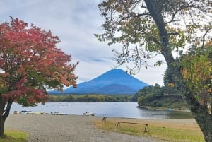 Mount Fuji 5th Station & Fuji Five Lakes Private Day Trip