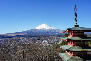 Mount Fuji 5th Station & Fuji Five Lakes Private Day Trip