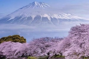 Góra Fuji i Hakone - całodniowa prywatna wycieczka krajoznawcza
