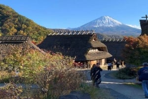 Góra Fuji i Hakone - całodniowa prywatna wycieczka krajoznawcza