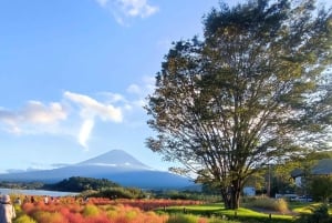 Góra Fuji i Hakone - całodniowa prywatna wycieczka krajoznawcza
