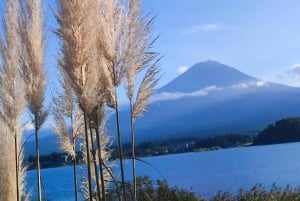 Góra Fuji i Hakone - całodniowa prywatna wycieczka krajoznawcza