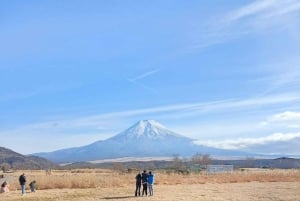 Góra Fuji i Hakone - całodniowa prywatna wycieczka krajoznawcza
