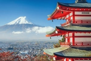 Excursão de 1 dia ao Monte Fuji e Hakone com guia em inglês
