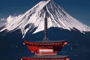 Excursão de 1 dia ao Monte Fuji e Hakone com guia em inglês