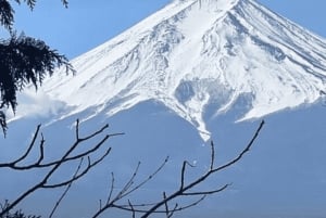 Excursão de 1 dia ao Monte Fuji e Hakone com guia em inglês