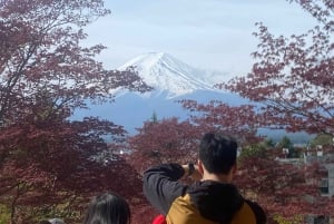 Excursão de 1 dia ao Monte Fuji e Hakone com guia em inglês