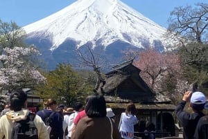 Excursão de 1 dia ao Monte Fuji e Hakone com guia em inglês