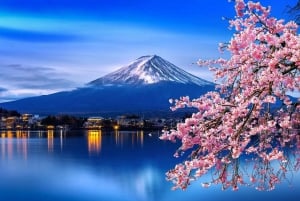 Tokio: Mt Fuji & Hakone Private Tagestour mit englischem Fahrer