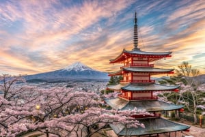 From Tokyo: Mount Fuji or Hakone Customized Day Trip