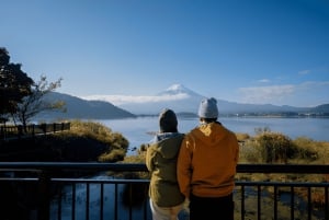 From Tokyo: Mount Fuji or Hakone Customized Day Trip