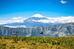From Tokyo: Mount Fuji or Hakone Customized Day Trip