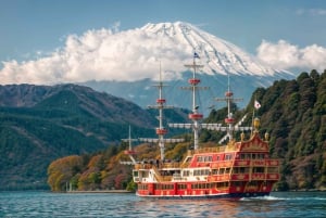 From Tokyo: Mount Fuji or Hakone Customized Day Trip