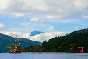 From Tokyo: Mount Fuji or Hakone Customized Day Trip