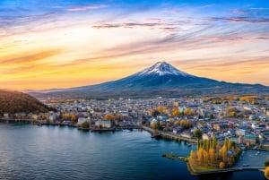 From Tokyo: Mount Fuji or Hakone Customized Day Trip