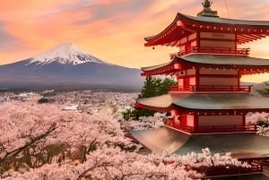 Tokyo: Privat sightseeingtur til Fuji-fjellet og Hakone