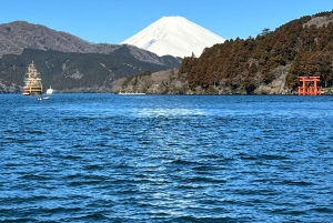 Tokyo: Privat sightseeingtur til Fuji-fjellet og Hakone