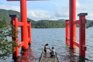 Tokyo: Privat sightseeingtur til Fuji-fjellet og Hakone