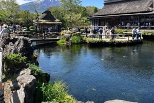 Tokyo: Privat sightseeingtur til Fuji-fjellet og Hakone