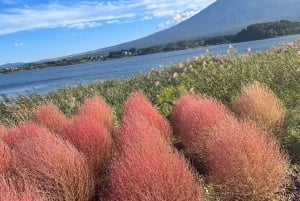 Tokyo: Privat sightseeingtur til Fuji-fjellet og Hakone