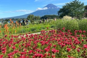 Tokyo: Privat sightseeingtur til Fuji-fjellet og Hakone