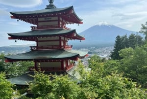 Tokyo: Privat sightseeingtur til Fuji-fjellet og Hakone