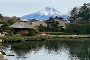 Tokyo: Privat sightseeingtur til Fuji-fjellet og Hakone