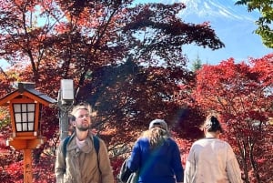 Tokyo: Privat sightseeingtur til Fuji-fjellet og Hakone