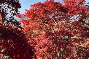 Tokyo: Privat sightseeingtur til Fuji-fjellet og Hakone