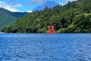 Tokyo: Privat sightseeingtur til Fuji-fjellet og Hakone