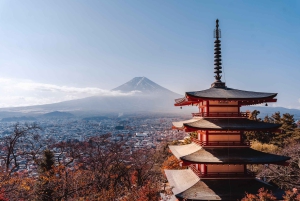 Monte Fuji: tour privato in auto personalizzabile con pick-up