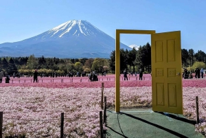 Monte Fuji: tour privato in auto personalizzabile con pick-up
