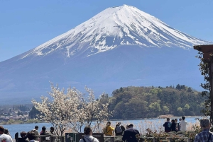 Monte Fuji: tour privato in auto personalizzabile con pick-up