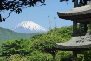 Monte Fuji: tour privato in auto personalizzabile con pick-up