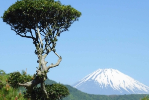 Monte Fuji: tour privato in auto personalizzabile con pick-up