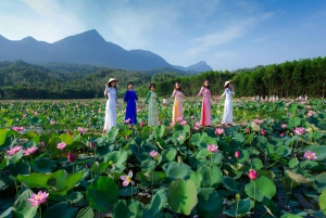 Monte Fuji: tour privato in auto personalizzabile con pick-up