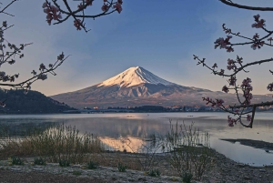 Monte Fuji: tour privato in auto personalizzabile con pick-up