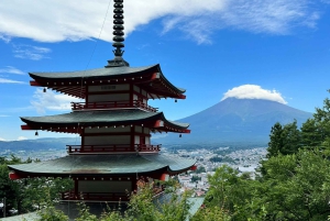 Monte Fuji: tour privato in auto personalizzabile con pick-up
